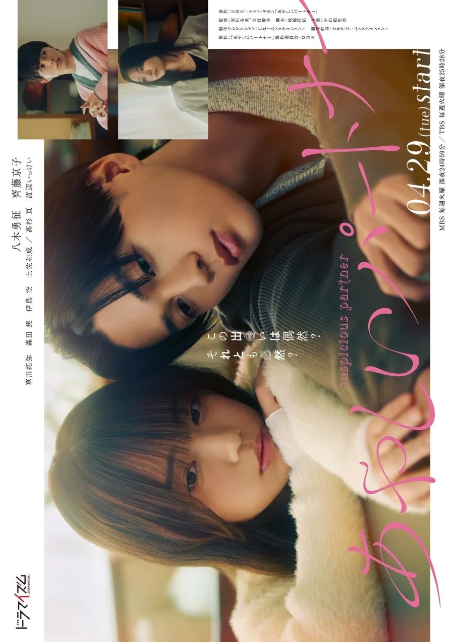 Подозрительный партнер (японская версия)